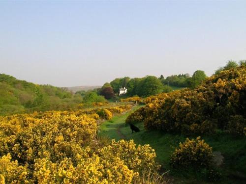 Lydgate House Hotel Postbridge Екстер'єр фото